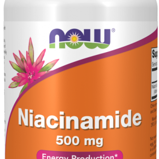 NOW Niacinamide 500g 100 Capsules