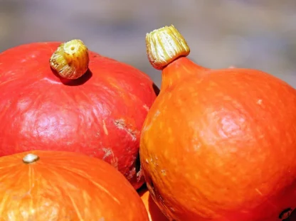 Hokkaido Pumpkin Local Organic each (approx 1kg)